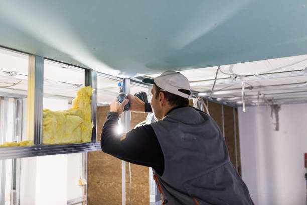 Best Geographic-Specific Insulation Services in Elizabethville, PA